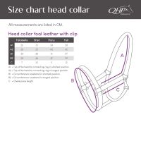 Head collar foal leather with clip