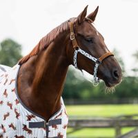 Head collar set Stable buddy