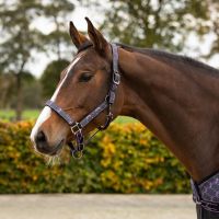 Head collar set with turnout collection