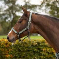 Head collar set with turnout collection