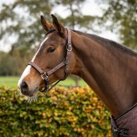 Head collar set with turnout collection