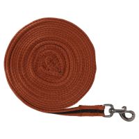 Lunging line collection