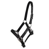 Head collar Glitter