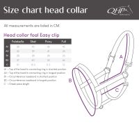 Head collar foal Easy clip