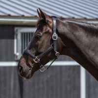 Head collar leather Jayze