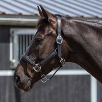 Head collar leather Jayze