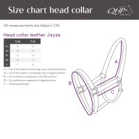 Head collar leather Jayze