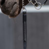 Lead rope with chain leather Jayze