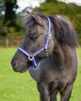 Head collar Icelandic