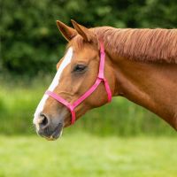 Field head collar