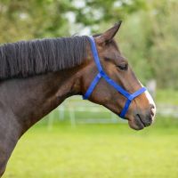 Field head collar