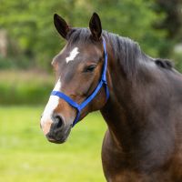 Field head collar