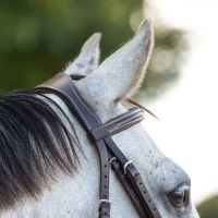 Bridle luxury stitched incl. reins