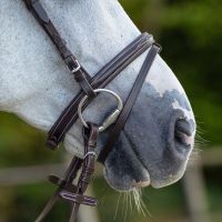 Bridle luxury stitched incl. reins