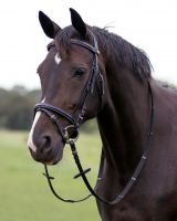 Bridle luxury stitched