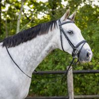 Bridle luxury stitched incl. reins