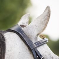 Bridle luxury stitched incl. reins