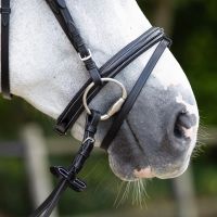 Bridle luxury stitched incl. reins