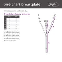 Breastplate luxury stitching