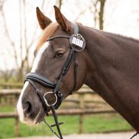 Number holders Ricki (2-pack)