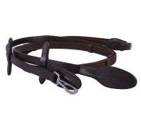 Web rein with clip
