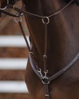 Martingale fork regular