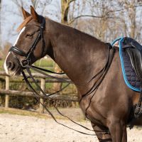 Draw reins Basic pro anti-slip
