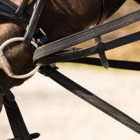 Draw reins Basic pro anti-slip