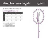 Martingale Basic pro
