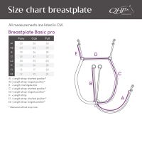 Breastplate Basic pro