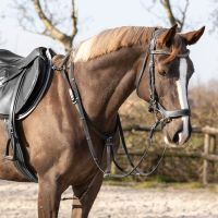 Breastplate Basic pro