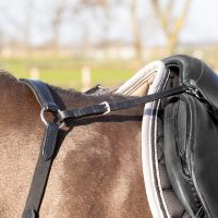 Breastplate Basic pro