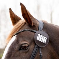 Number holder Modeste round