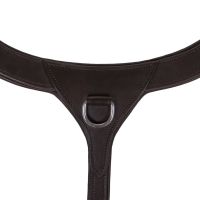 Breastplate with handle