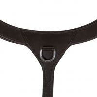 Breastplate with handle