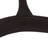 Breastplate with handle