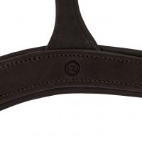 Breastplate with handle