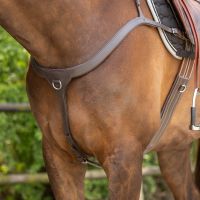 Breastplate with handle