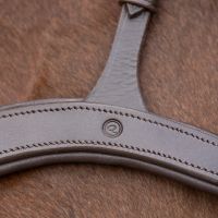 Breastplate with handle