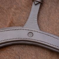 Breastplate with handle