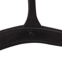 Breastplate with handle