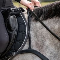 Breastplate with handle