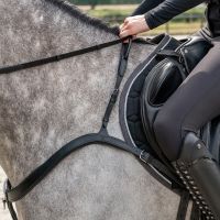 Breastplate with handle