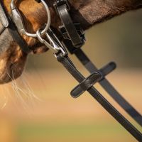 Rein one sided anti-slip with clip