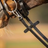 Rein one sided anti-slip with clip