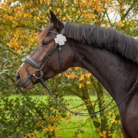 Number holder Clover