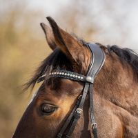 Browband Skye