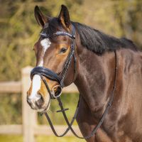 Browband Skye