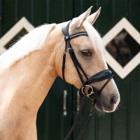 Browband Skye