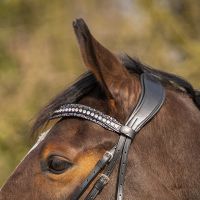 Browband Skye